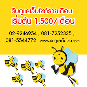  รับดูแลเว็บไซต์.com   บริการดูแล , อัพเดทข้อมูลเว็บไซต์รายเดือน รูปที่ 2
