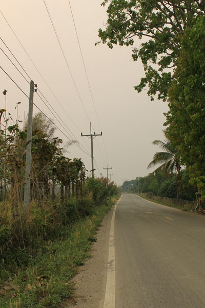 ขาย ที่ดิน เชียงเชียงของ จ. เชียงราย ที่ดินเปล่า ราคาถูก รูปที่ 1