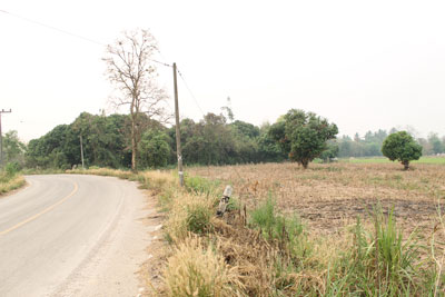 ขาย ที่ดิน เชียงเชียงของ จ. เชียงราย ที่ดินเปล่า... ราคาถูก รูปที่ 1