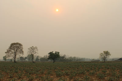 ขาย ที่ดิน เชียงเชียงของ จ. เชียงราย ..ที่ดินเปล่า ราคาถูก รูปที่ 1