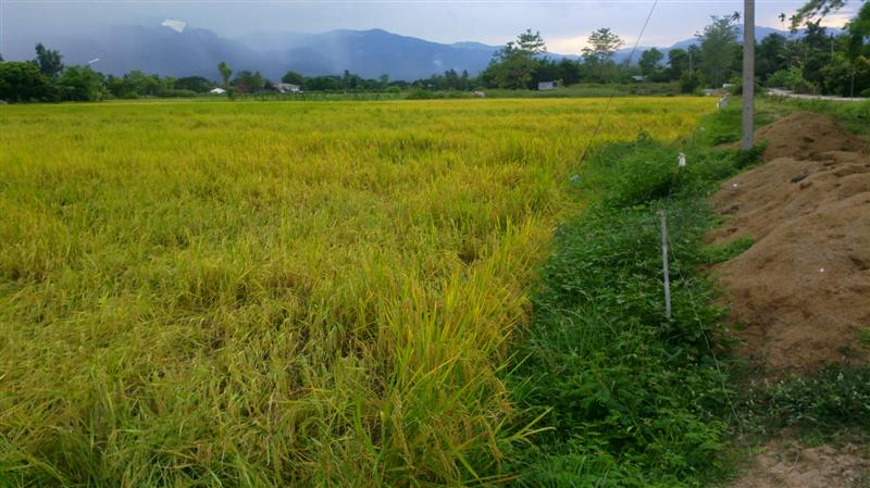 Sellers 3 acres located in beautiful surroundings to the road. รูปที่ 2