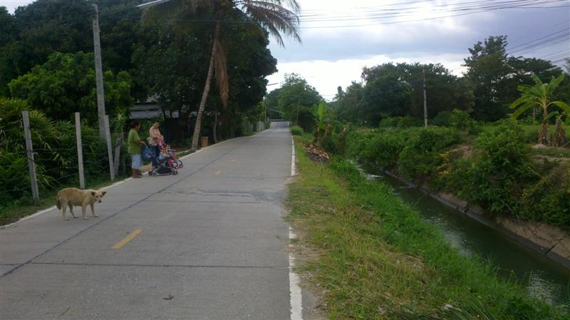 Sellers 3 acres located in beautiful surroundings to the road. รูปที่ 7