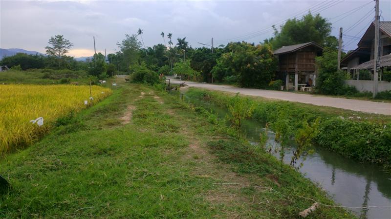 Sellers 3 acres located in beautiful surroundings to the road. รูปที่ 1