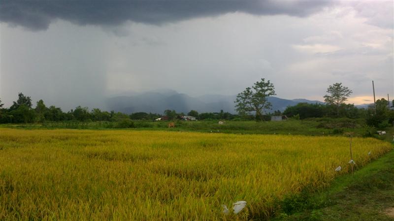 Sellers 3 acres located in beautiful surroundings to the road. รูปที่ 5