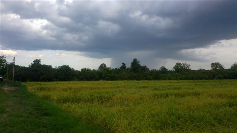 Sellers 3 acres located in beautiful surroundings to the road. รูปที่ 4