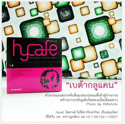 กาแฟ ไฮคาเฟ่ ต่อต้านอนุมูลอิสระ ช่วยเร่งการเผาผลาญไขมัน รูปที่ 2