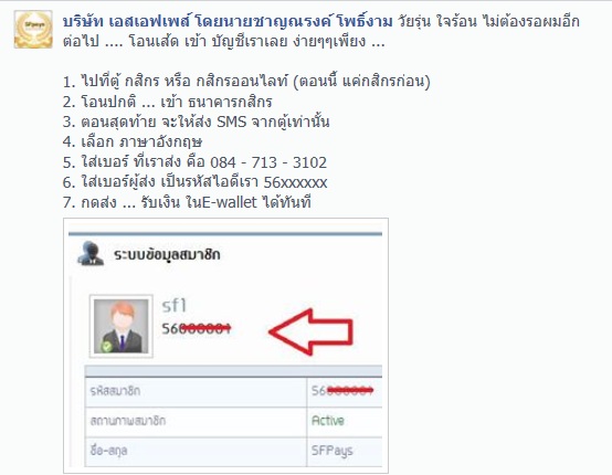 SFpays เคาท์เตอร์เซอร์วิส ส่วนบุคคล ลงทุน 500 บาท คืนทุนเร็วแน่นอน!! รูปที่ 6