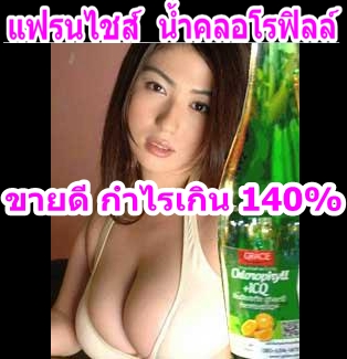 แฟรนไชส์น้ำคลอโรฟิลล์ ในแบรนด์ของคุณเอง กำไร 140% รูปที่ 1