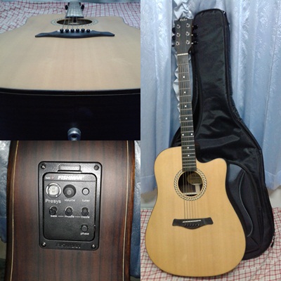 ขายกีตาร์โปรงไฟฟ้า ยี่ห้อ Dolce TS-1E ไม้ด้านหลัง ด้านข้างเป็นไม้ Rosewood สภาพดีมากๆ เกือบ 100% สินค้าไม่มีตำหนิเลย รูปที่ 5
