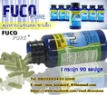 FUCO Pure (ฟูโก้ เพียว) ลดน้ำหนักได้ 3-9 กิโล/เดือน