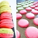 รูปย่อ fondre macaron รูปที่3