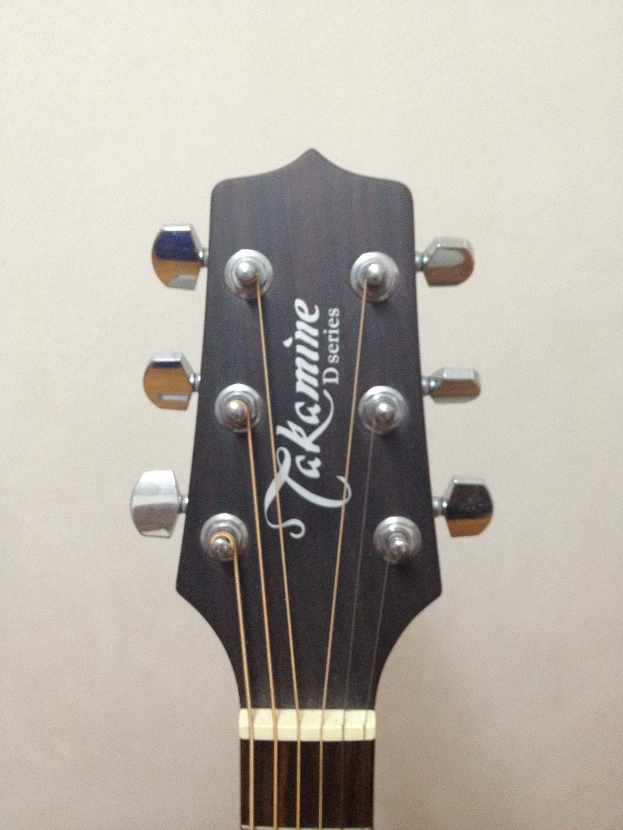 กีตาร์โปร่ง TAKAMINE D20-NS รูปที่ 3