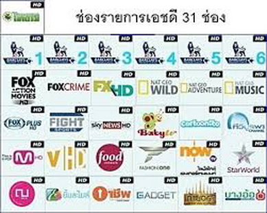ตัวแทนติดตั้งจานดาวเทียม CTH ฟุตบอลพรีเมียร์ลีก 2013-2016  รูปที่ 3