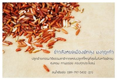 == ข้าวสังหยดเมืองพัทลุง ข้าวเกษตรอินทรีย์ ปลอดภัย ครบทุกประโยชน์ == รูปที่ 4