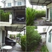 รูปย่อ ขายทาวเฮ้าส์ 25 ตรว ม.พฤกษา36 ย่านวัดนาวง รูปที่3