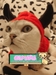 รูปย่อ เสื้อผ้าแมวสไตส์ญี่ปุ่น หมวก ชุดแฟนซี ของเล่น และอุปกรณ์สำหรับแมวทุกชนิด รูปที่5