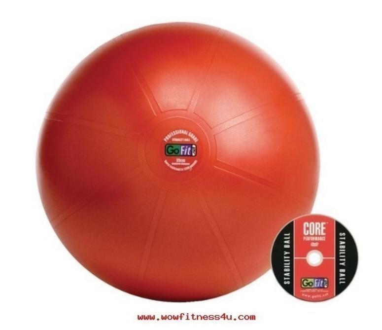 PR-490 Gofit 55Cm Pro Stability Ball (anti burst ball) fitball รูปที่ 1