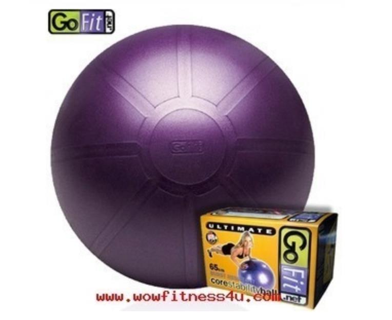 PR-491 Gofit 65Cm Pro Stability Ball (anti burst ball) รูปที่ 1