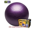 PR-491 Gofit 65Cm Pro Stability Ball (anti burst ball)