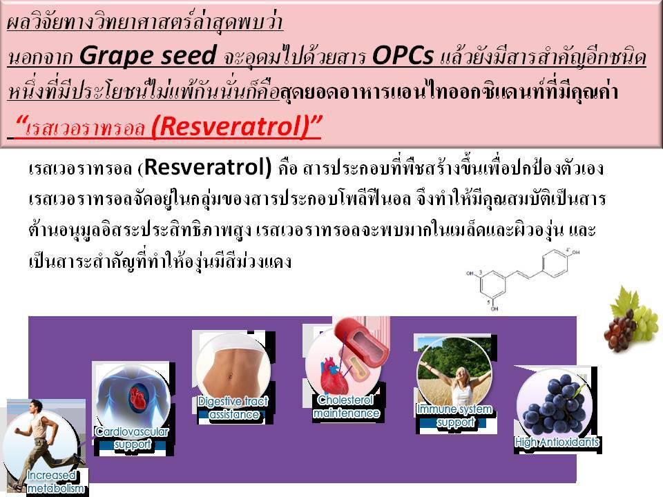 Grape Seed Oill  น้ำมันองุ่น ชนิดสกัดเย็น รูปที่ 7