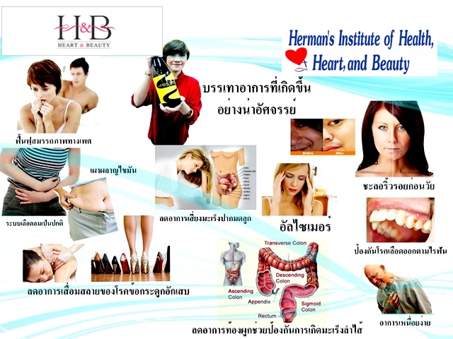 การที่คนเราอยากจะลดน้ำหนัก ต้องแก้ปัญหาที่ต้นเหตุ Herbal Wave รูปที่ 4