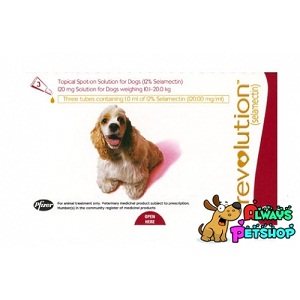 จำหน่ายยาสำหรับสุนัขและแมว Fromtline Plus,Revolution,Heartgard ในราคาพิเศษ พร้อมส่งทั่วประเทศ รูปที่ 6