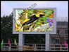 รูปย่อ LED Display / ป้ายไฟวิ่ง รูปที่3