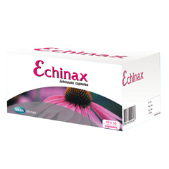 ECHINAX เป็นเริม นอนดึก และต้องดื่มเหล้า สมุนไพรเอ็คไคนาเชีย ช่วยฆ่าไวรัส  55 รูปที่ 3