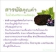 รูปย่อ น้ำมัน เมล็ดองุ่น สกัดเย็น  Cold Pressed Grape Seed Oil รูปที่5