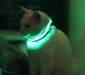 รูปย่อ Led Collar Dog สายจูงและปลอกคอสุนัขเรืองแสงสุดล้ำ!!!!!! รูปที่5