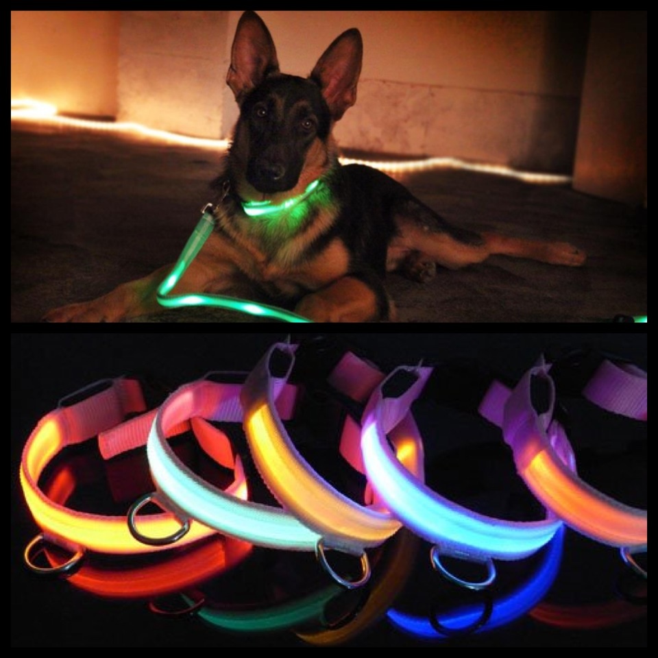 Led Collar Dog สายจูงและปลอกคอสุนัขเรืองแสงสุดล้ำ!!!!!! รูปที่ 1