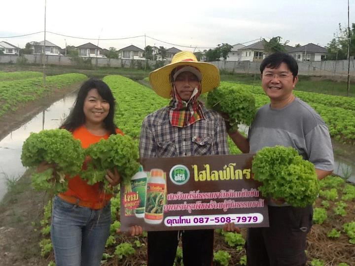 Hylifegro เอส , แอล  ปุ๋ยคุณภาพ รูปที่ 6