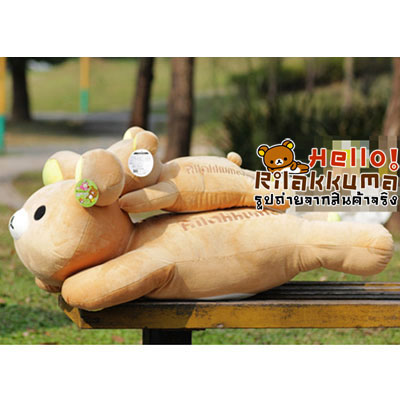 ขายถูก ตุ๊กตาหมี ริลัคคุมะ ในท่านอน ให้เป็นของขวัญ น่ากอดมาก รูปที่ 3