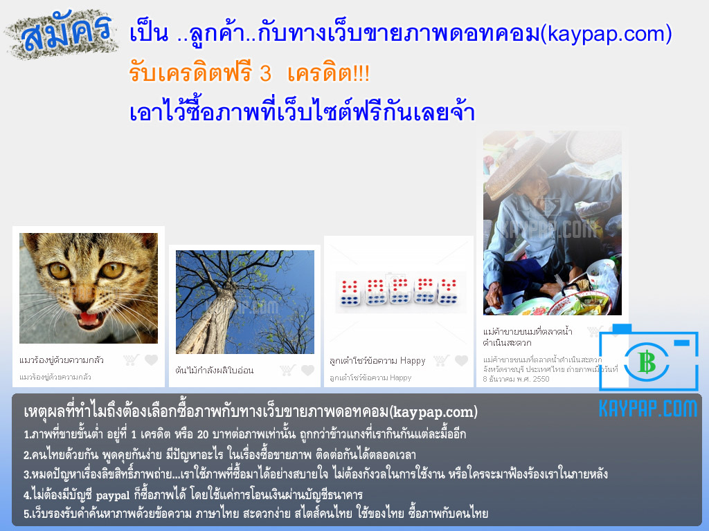 KAYPAP.COM...เว็บสต็อกขายภาพสัญชาติไทย...ราคาถูก รูปที่ 1