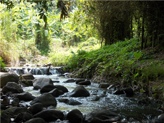 ขายที่ดินติดลำธาร 300 เมตร  9 ไร่ ราคาไร่ละ 500000 (ไร่ละห้าแสนบาท) รูปที่ 1