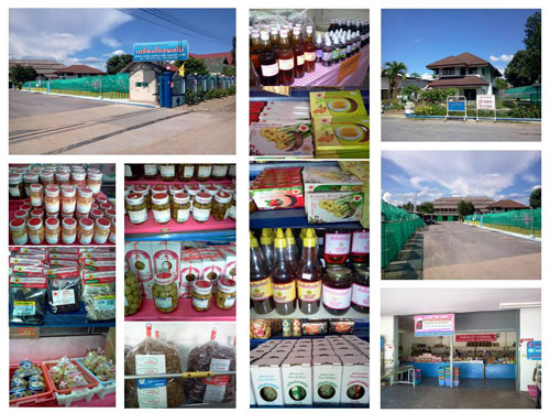 Factory for sale รูปที่ 6