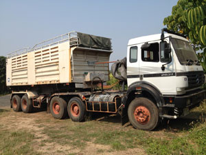 ขายรถมือสอง รถบรรทุก พร้อมขับ สภาพเยี่ยม ดูรถได้ค่ะ รูปที่ 6