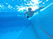 Swim Clinic by Vicha Ratanachote เปิดรับสมัครเข้าอบรม ครั้งที่ 2 (26 ตุลาคม 2556 ณ สระว่ายน้ําม . อัสสัมชัญ วิทยาเขตสุวรรณภูมิ ) รูปที่ 5