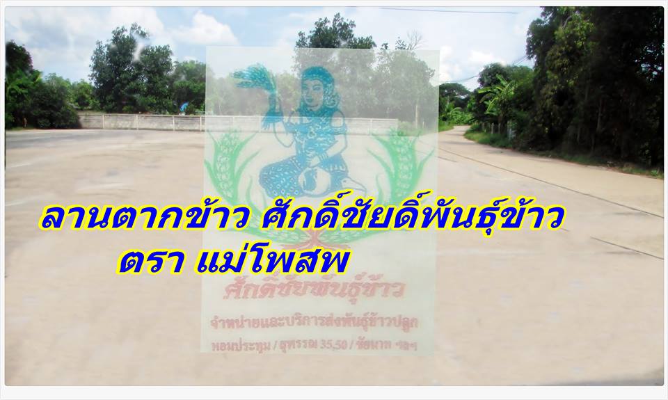ร้าน ศักดิ์ชัยพันธุ์ข้าว ตรา แม่โพสพ รูปที่ 3