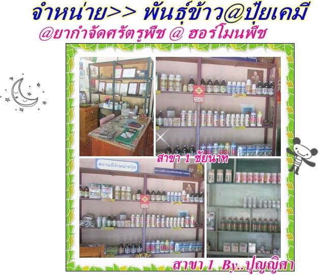 ร้าน ศักดิ์ชัยพันธุ์ข้าว ตรา แม่โพสพ รูปที่ 4