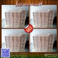 โครงกรอบลอย