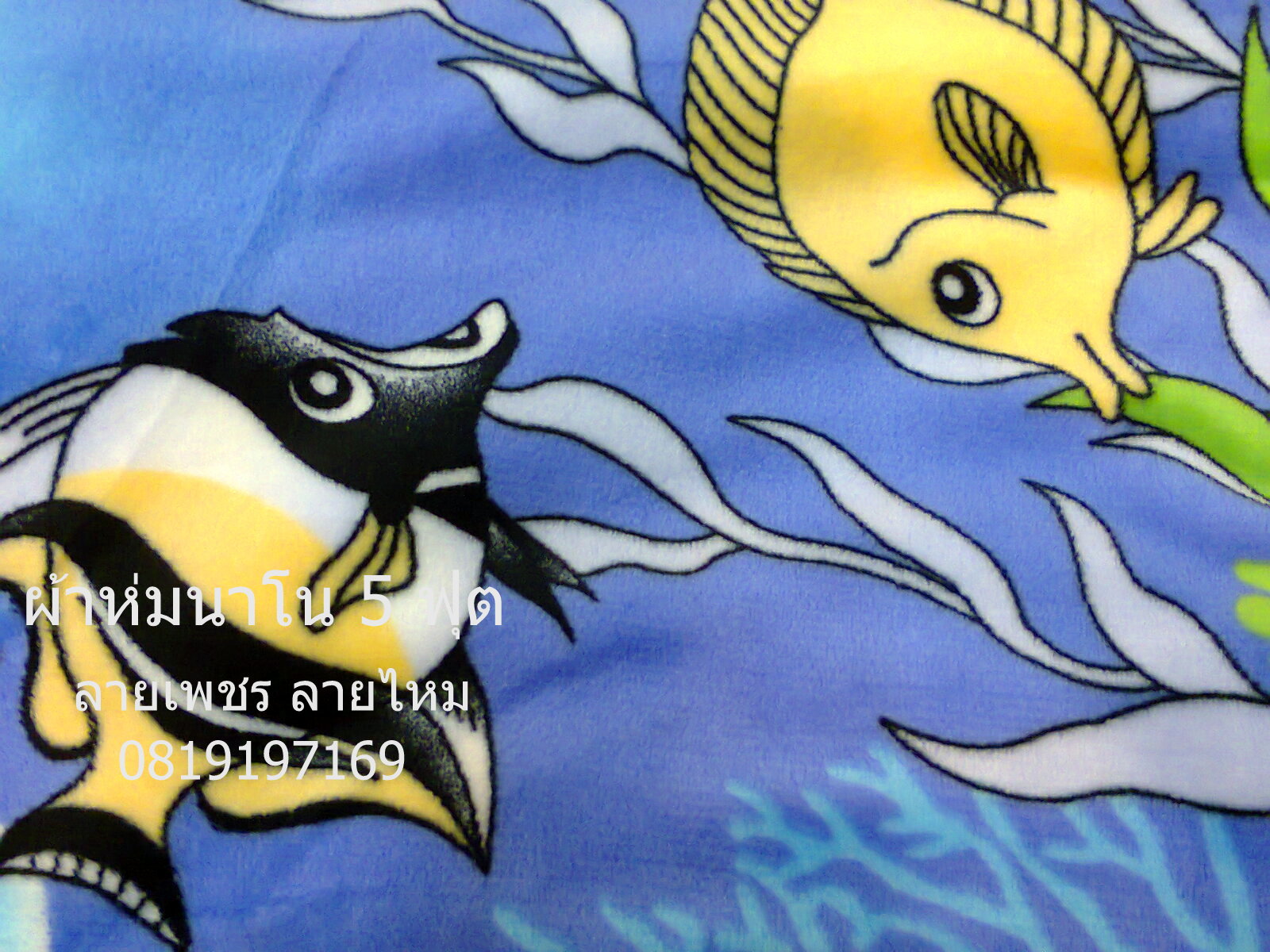 ผ้าห่มนาโนขายส่ง ถูกที่สุดในเชียงราย ไม่มีออเดอร์ขั้นต่ำ รูปที่ 2