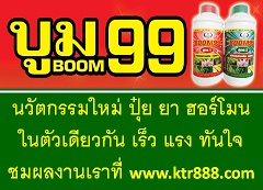 จำหน่ายปุ๋ยนาโน บูม99 ปุ๋ย ยา ฮอร์โมนในตัวเดียวกัน นวัตกรรมใหม่ล่าสุดจากญี่ปุ่น รูปที่ 1