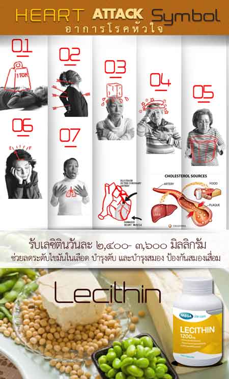 Mega We Care Lecithin ควบคุมระดับโคเลสเตอรอล ช่วยในการเสริมสร้างความจำ lll รูปที่ 1