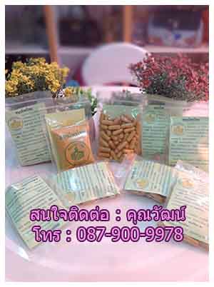 คุณวัฒน์สมุนไพรไทยฉลากเขียวชนิดผงและแคปซูล ตรารากไม้ของนักศึกษาแผนไทย รูปที่ 6