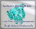 lueberry Ocean White ลดรอยดำคล้ำ ผิวเนียนนุ่ม