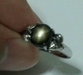 รูปย่อ ** LADIES DIAMOND RING Collection Black & White Diamond Ring in 14K White Gold.** รูปที่1