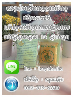 สมุนไพรไทยฉลากเขียวชนิดผงและชนิดแคปซูลจากนักศึกษาแผนไทยโดยคุณเต้ย รูปที่ 4