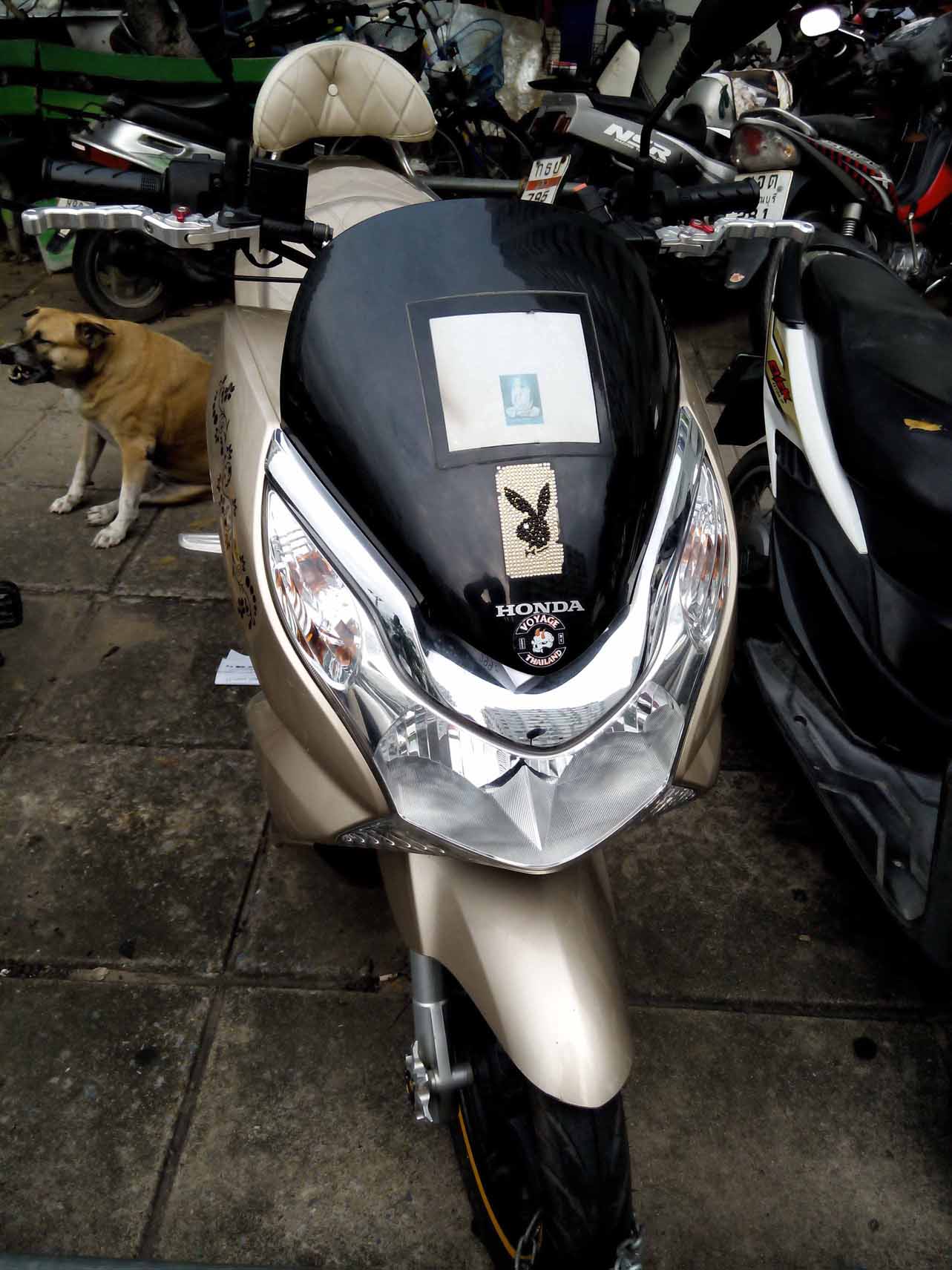 ฮอนด้า PCX  รูปที่ 1