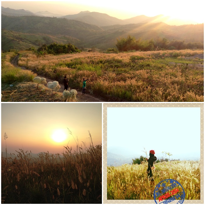 บ้านพัก และ เต็นท์ เขาค้อ รูปที่ 4